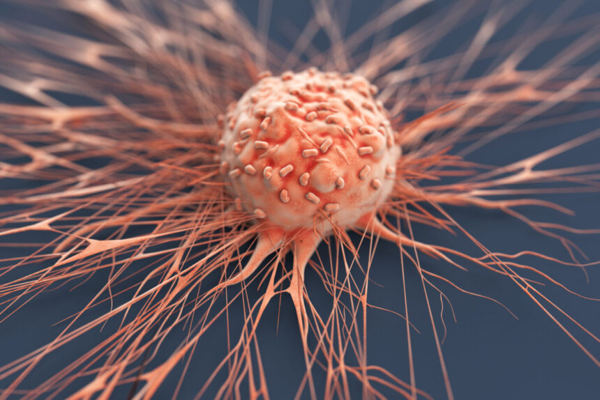 A Cell Found In Everybody, That Can Cause Blood Cancer